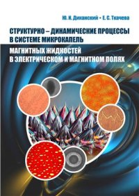 cover of the book Структурно-динамические процессы в системе микрокапель магнитных жидкостей в электрическом и магнитном полях