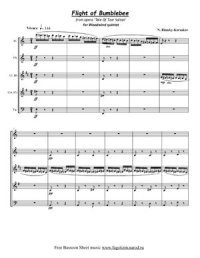 cover of the book Flight of the Bumble Bee