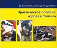 cover of the book Практическое пособие: корова и теленок