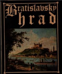 cover of the book Bratislavsky hrad