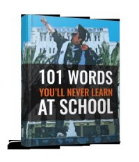 cover of the book 101 Words You'll Never Learn at School