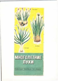 cover of the book Многолетние луки. Рабочая таблица по уходу