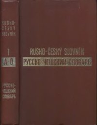 cover of the book Русско-чешский словарь