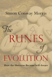 cover of the book The Runes of Evolution: How the Universe became Self-Aware