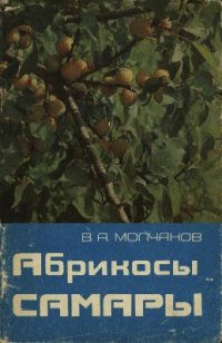 cover of the book Абрикосы Самары