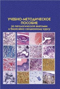 cover of the book Учебно-методическое пособие по патологической анатомии и биопсийно-секционному курсу