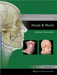 cover of the book Lippincott’s Concise Illustrated Anatomy. Head & Neck