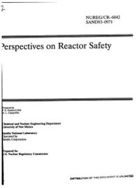 cover of the book Perspectives on Reactor Safety