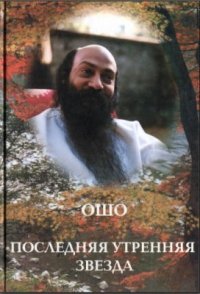 cover of the book Последняя утренняя звезда