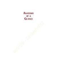 cover of the book Anatomy at a Glance