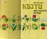 cover of the book Квіти дванадцяти місяців