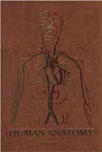 cover of the book Human anatomy. In three volumes. Vol. 2