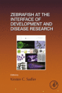 cover of the book Zebrafish at the Interface of Development and Disease Research