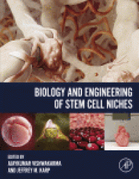 cover of the book Biology and Engineering of Stem Cell Niches