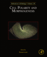 cover of the book Cell Polarity and Morphogenesis