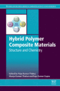 cover of the book Hybrid Polymer Composite Materials. Structure and Chemistry