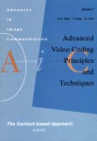 cover of the book Advanced Video Coding: Principles and Techniques