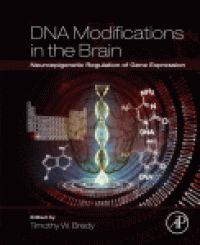 cover of the book DNA Modifications in the Brain. Neuroepigenetic Regulation of Gene Expression