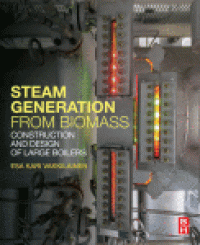 cover of the book Steam Generation from Biomass. Construction and Design of Large Boilers