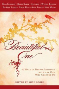 cover of the book Beautiful One : a Walk In Deeper Intimacy with the One Who Created Us