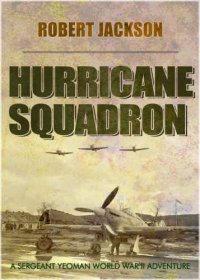 cover of the book Hurricane squadron : Yeoman goes to war