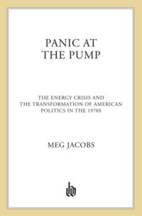 cover of the book Panic at the Pump: The Energy Crisis and the Transformation of American Politics in the 1970s