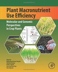 cover of the book Plant Macro-nutrient Use Efficiency Molecular and Genomic Perspectives in Crop Plants