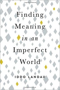 cover of the book Finding meaning in an imperfect world