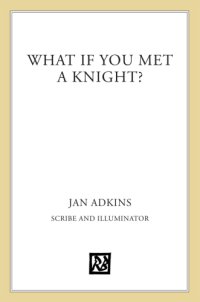 cover of the book What if you met a knight?