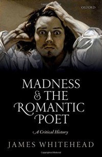 cover of the book MADNESS AND THE ROMANTIC POET : a critical history