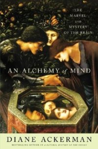 cover of the book An alchemy of mind : the marvel and mystery of the brain