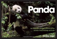 cover of the book Panda : an intimate portrait of one of the world's most elusive creatures