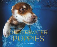 cover of the book Underwater Puppies