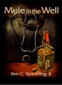 cover of the book Mule in the well