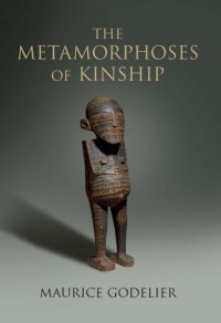 cover of the book The metamorphoses of kinship