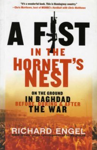 cover of the book A Fist in the Hornet's Nest: On the Ground in Baghdad Before, During & After the War