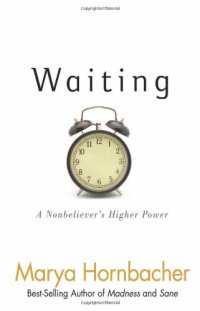 cover of the book Waiting : a nonbeliever's higher power