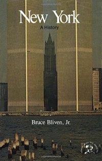 cover of the book New York: A Bicentennial History