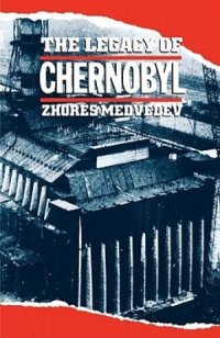 cover of the book The legacy of Chernobyl