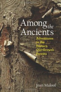 cover of the book Among the Ancients : Adventures in the Eastern Old-Growth Forests