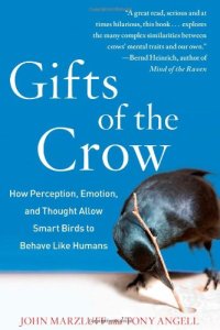 cover of the book Gifts of the crow : how perception, emotion, and thought allow smart birds to behave like humans