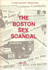 cover of the book The Boston sex scandal