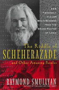 cover of the book The riddle of Scheherazade, and other amazing puzzles, ancient & modern