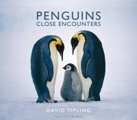 cover of the book Penguins Close Encounters