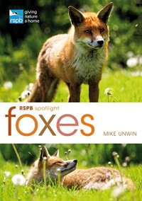 cover of the book RSPB Spotlight: Foxes