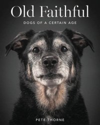 cover of the book Old faithful : dogs of a certain age