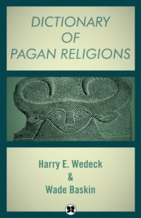 cover of the book Dictionary of Pagan religions