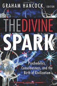 cover of the book The divine spark  : a Graham Hancock reader : psychedelics, consciousness, and the birth of civilization