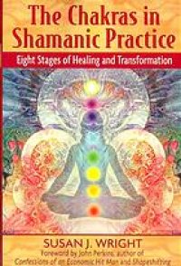 cover of the book The chakras in shamanic practice : eight stages of healing and transformation