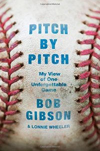 cover of the book Pitch by pitch : my view of one unforgettable game